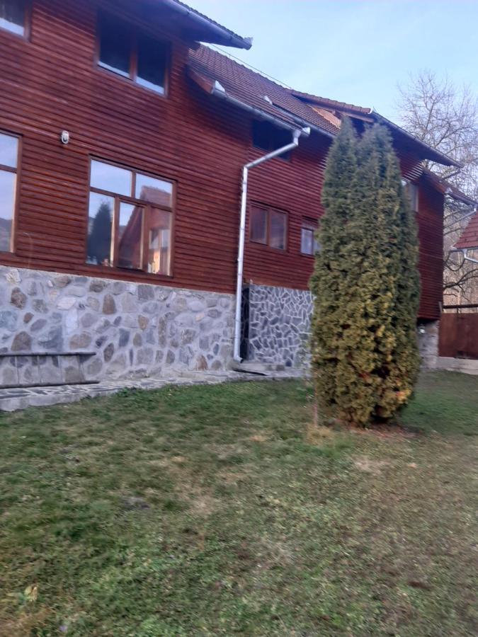 Pensiunea Codru Salciua de Jos Экстерьер фото