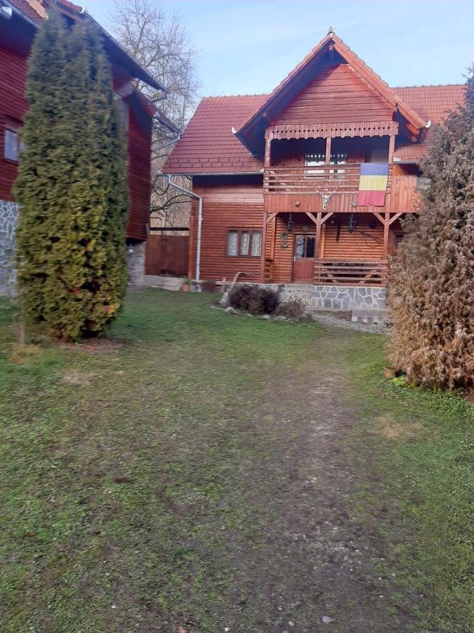 Pensiunea Codru Salciua de Jos Экстерьер фото