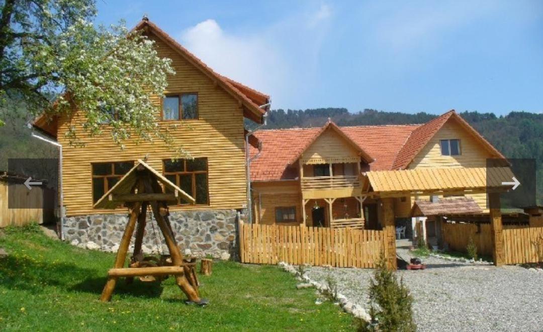 Pensiunea Codru Salciua de Jos Экстерьер фото